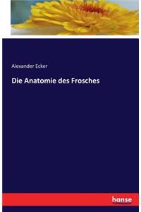 Anatomie des Frosches