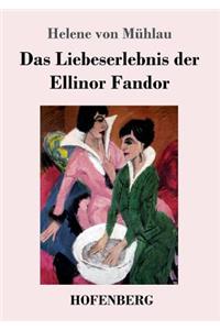 Das Liebeserlebnis der Ellinor Fandor