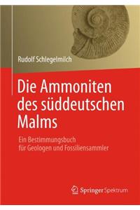 Die Ammoniten des süddeutschen Malms
