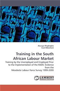 Training in the South African Labour Market