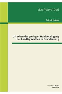 Ursachen der geringen Wahlbeteiligung bei Landtagswahlen in Brandenburg