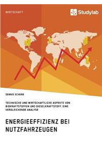 Energieeffizienz bei Nutzfahrzeugen. Technischer und wirtschaftlicher Aspekte von Biokraftstoffen und Dieselkraftstoff