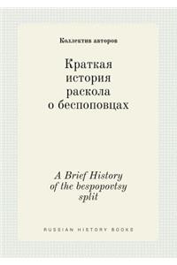 A Brief History of the bespopovtsy split