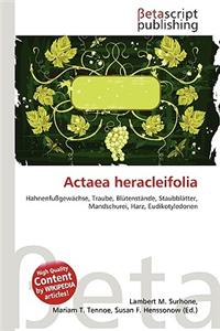 Actaea Heracleifolia