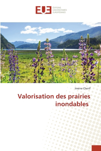 Valorisation des prairies inondables