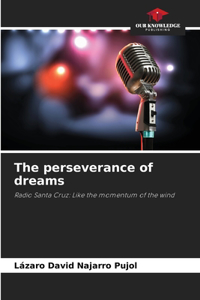 perseverance of dreams