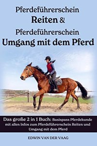 Pferdefuhrerschein Umgang mit dem Pferd & Reiten