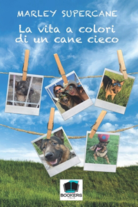 vita a colori di un cane cieco