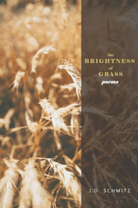 Brightness of Grass