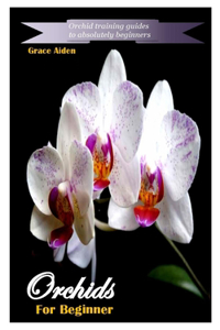 Orchids for Beginner