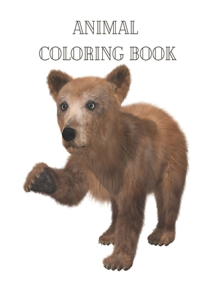 Animal Coloring Book