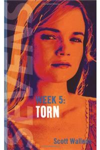 Torn