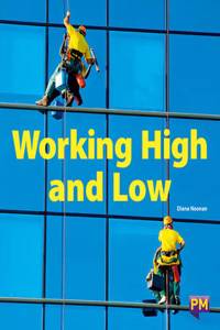 PM RUBY WORKING HIGH & LOW PM GUIDED REA