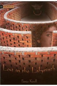 Lost in the Labyrinth