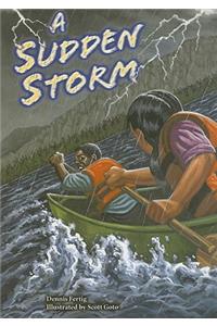 Steck-Vaughn Power Up!: Leveled Readers Grades 6 - 8 Sudden Storm, a