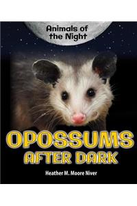 Opossums After Dark