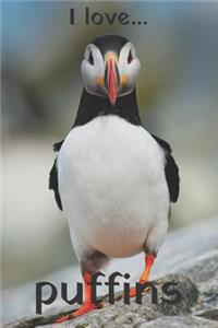 I Love Puffins