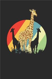 Giraffes