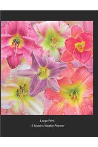 Large Print - 2020 - 15 Months Weekly Planner - Flowers - Daylilies In Bloom