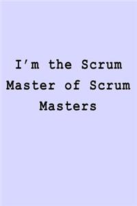I'm the Scrum Master of Scrum Masters
