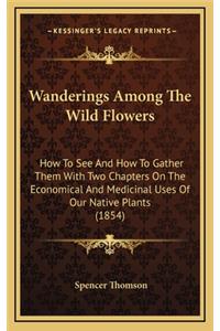 Wanderings Among the Wild Flowers