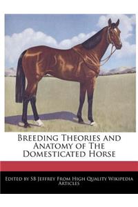 Breeding Theories and Anatomy of the Domesticated Horse