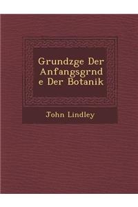 Grundz GE Der Anfangsgr Nde Der Botanik