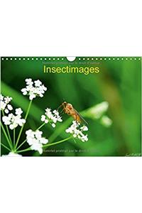 Insectimages 2017