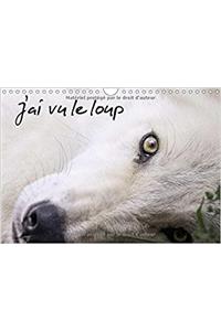 J'ai Vu Le Loup 2017
