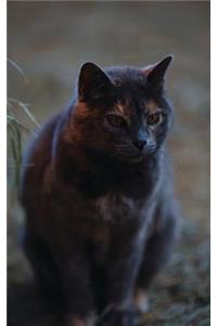 Kid's Petite Barn Cat Journal