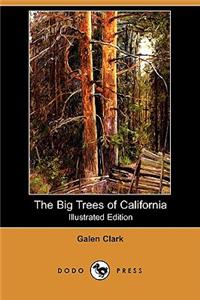 Big Trees of California (Illustrated Edition) (Dodo Press)