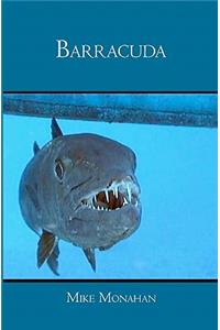 Barracuda