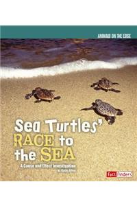 Sea Turtles' Race to the Sea