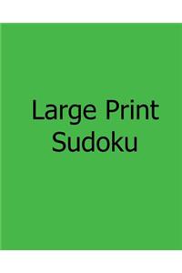 Large Print Sudoku