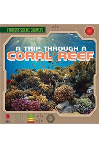 A Trip Through a Coral Reef