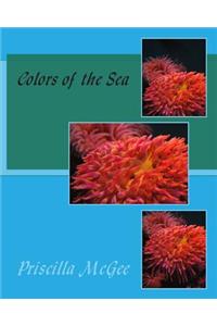Colors of the Sea