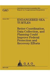 Endagered Sea Turtles