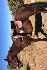 The Morgan Horse Journal