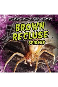 Brown Recluse Spiders
