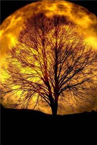Tree Silhouetted Against a Full Moon Journal