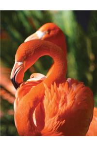 Flamingo Blank Sketchbook