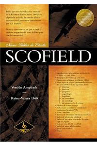 New Scofield Study Bible-RV 1960