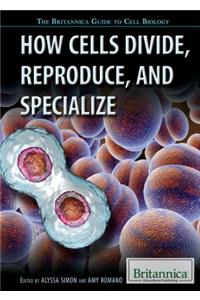 How Cells Divide, Reproduce, and Specialize