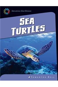 Sea Turtles