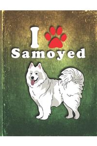 Samoyed