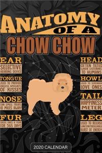 Anatomy Of A Chow Chow