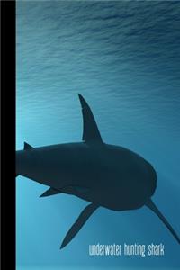 Underwater Hunting Shark