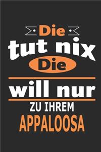 Die tut nix Die will nur zu ihrem Appaloosa