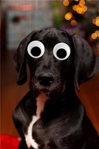 Googly Eye Great Dane