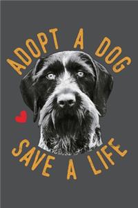 Adopt A Dog Save A Life